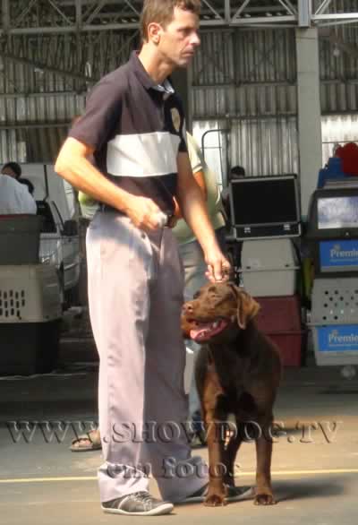 Clique sobre a foto para fechar